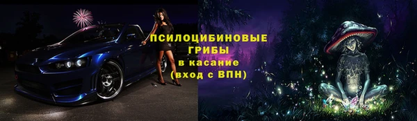 дживик Новозыбков