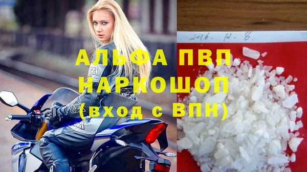 крисы Новодвинск